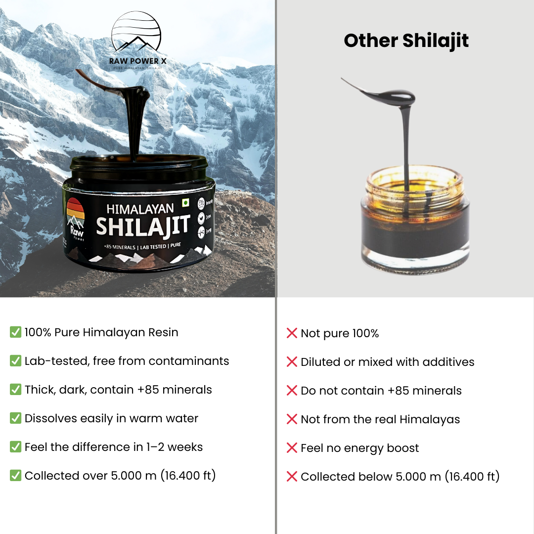 Raw Power X Shilajit 20g – Total body RESET