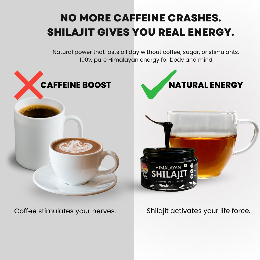 Raw Power X Shilajit 10g – Total body RESET