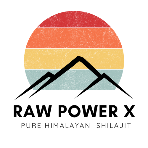 Raw Power X Shilajit