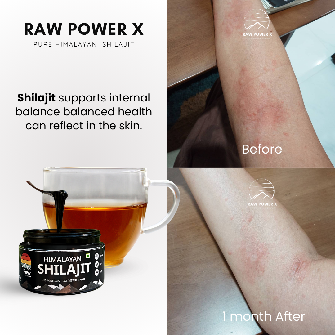 Raw Power X Shilajit 10g – Total body RESET
