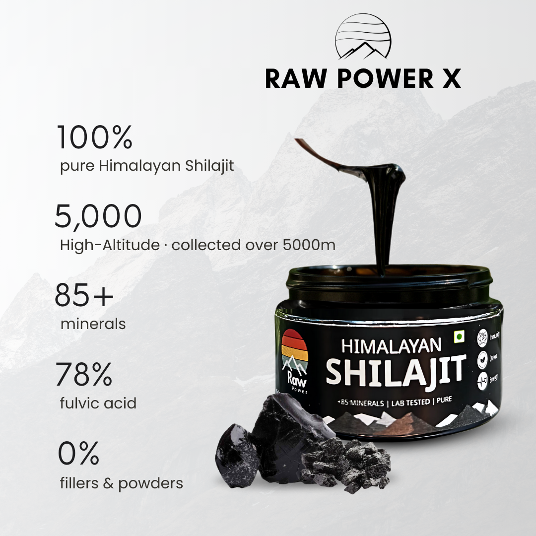 Raw Power X Shilajit 10g – Total body RESET