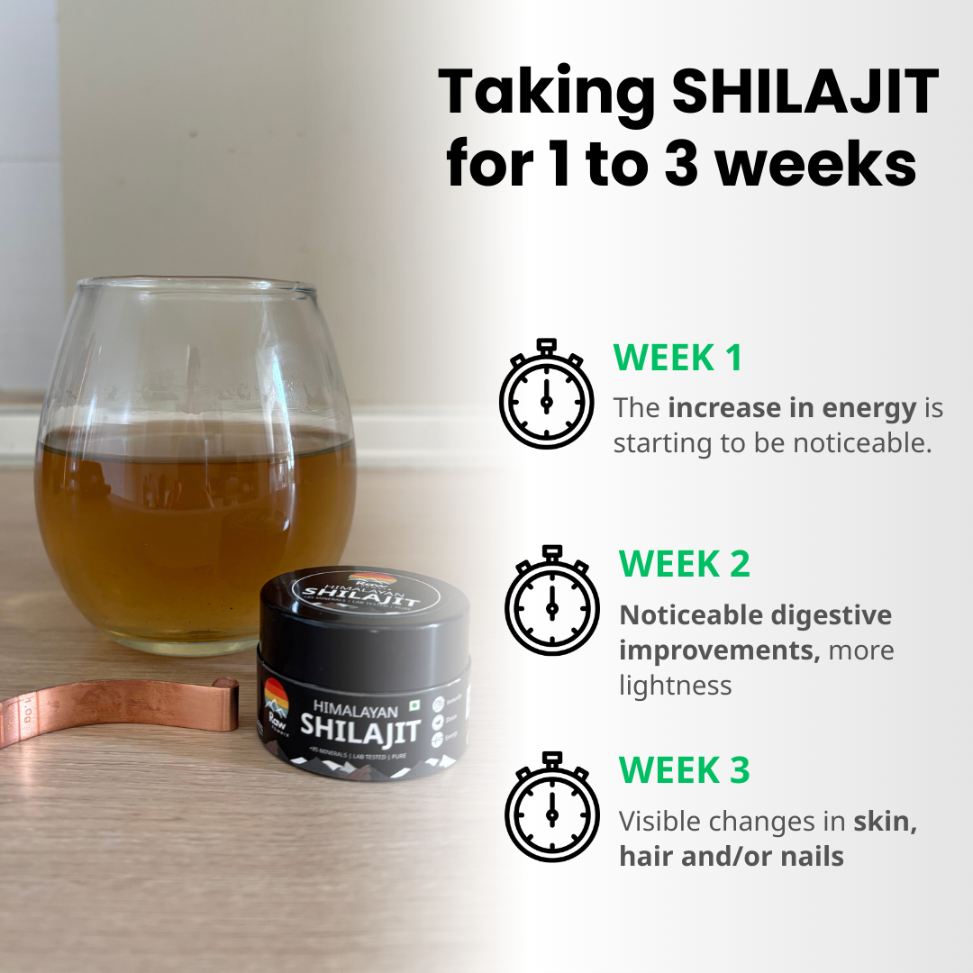 Raw Power X Shilajit 10g – Total body RESET